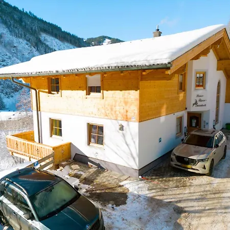 Alpensteinbock A Saalbach-Hinterglemm