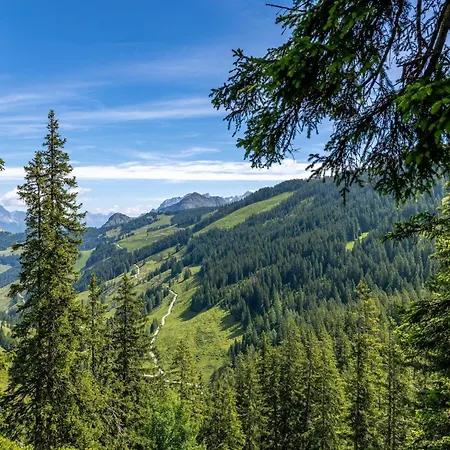 Apartment Alpensteinbock A Saalbach-Hinterglemm