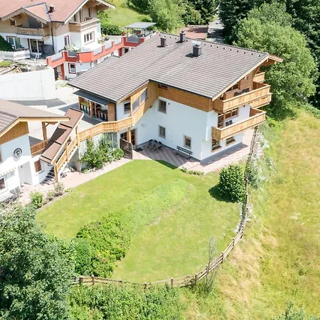 Alpensteinbock A