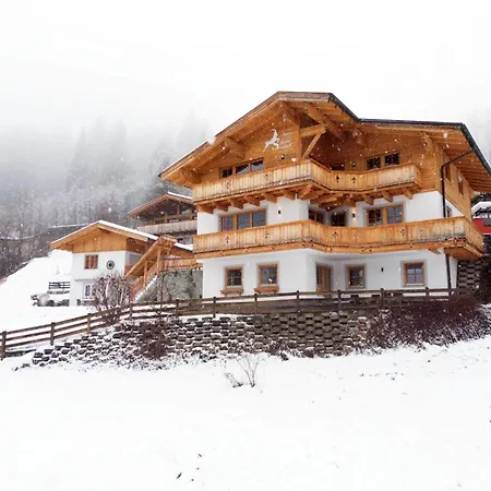 Alpensteinbock A Saalbach Hinterglemm
