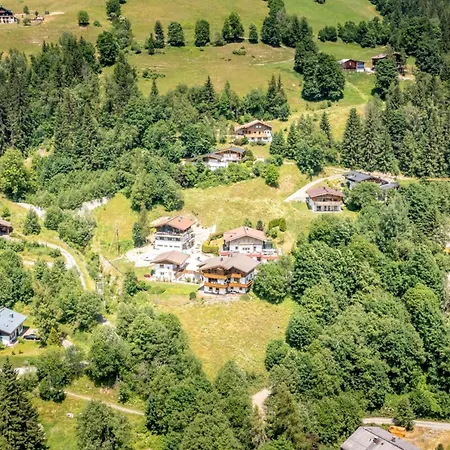 Alpensteinbock A Saalbach-Hinterglemm