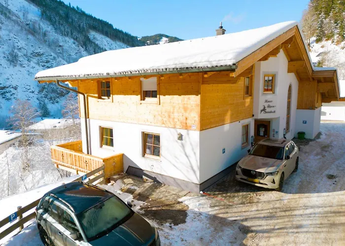 Alpensteinbock A Saalbach-Hinterglemm