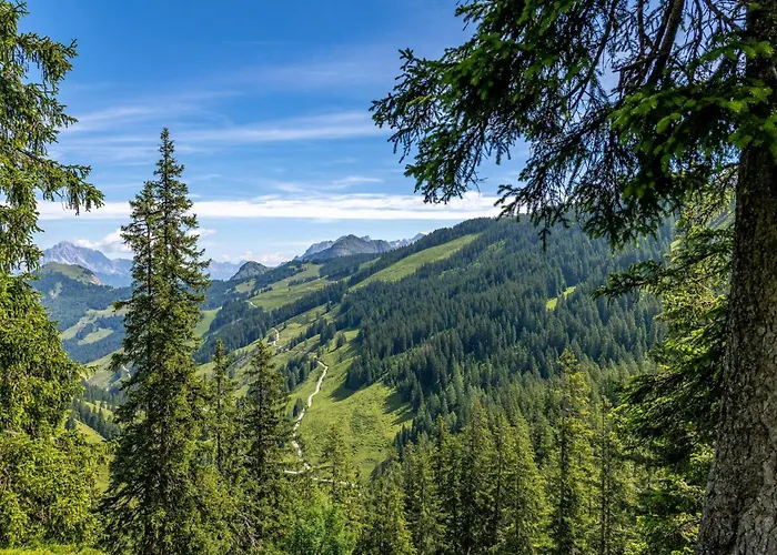 Lejlighed Alpensteinbock A Saalbach-Hinterglemm