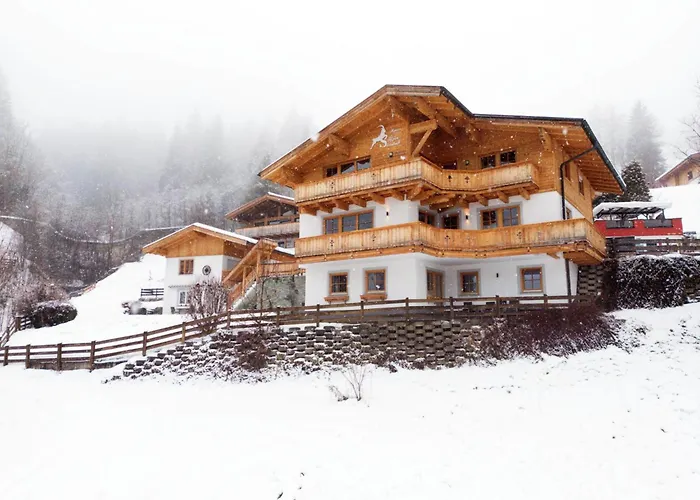 Alpensteinbock A Saalbach-Hinterglemm