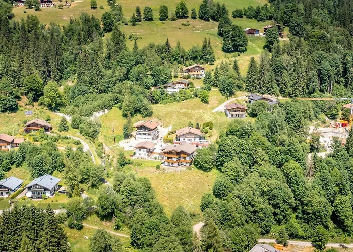 Alpensteinbock A 萨尔巴赫