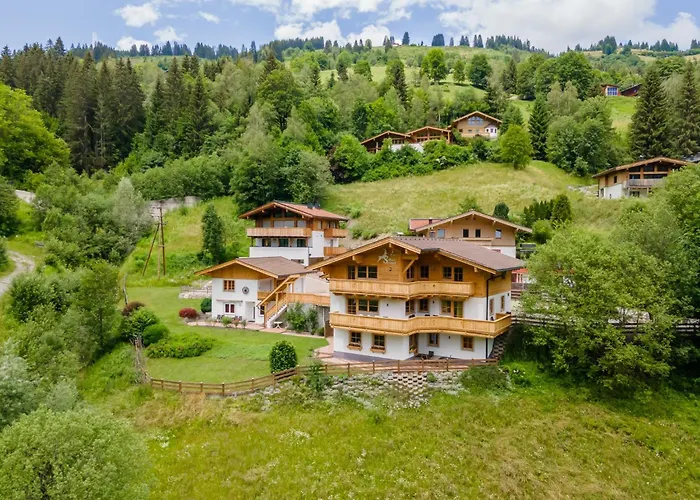 Alpensteinbock A * 萨尔巴赫